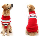 Roupa de Cachorro Golden